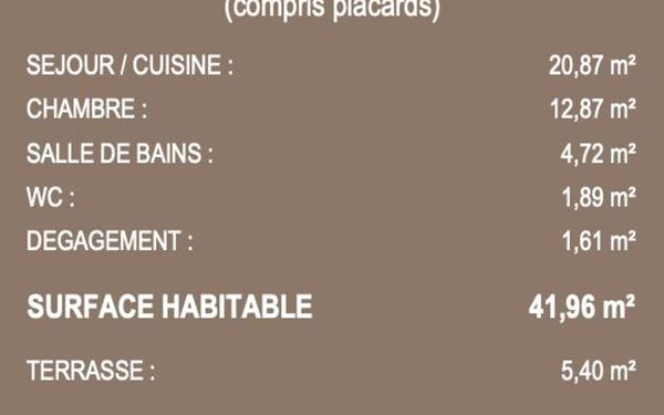 Appartement à vendre    2 pièces • 41,96 m2 Sain-Bel