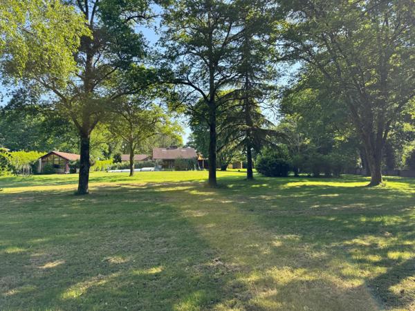 Remarquable maison d'architecte !