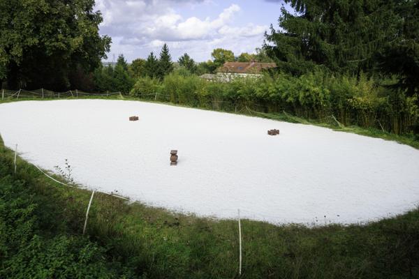 Saint-Éloy-les-Mines (63700) Propriété équestre sur plus de 8 hectares