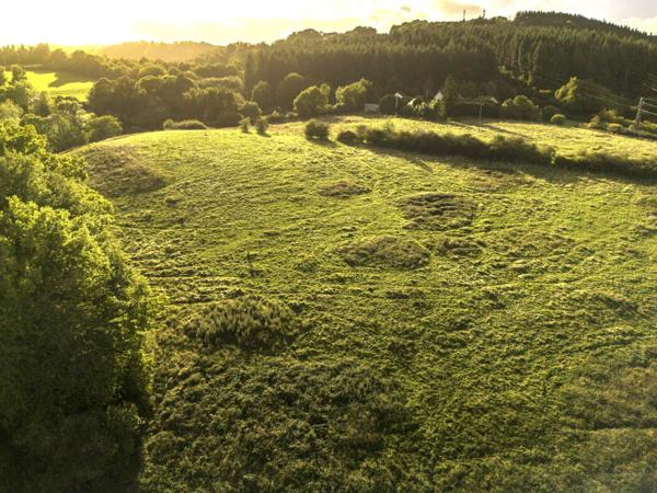 Saint-Éloy-les-Mines (63700) Propriété équestre sur plus de 8 hectares