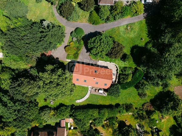 Bien rare à Labuissière - Maison avec vie de plain-pied, terrain boisé et environnement privilégié