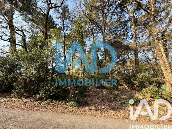 Terrain à vendre 650 m² Saint-Palais-sur-Mer