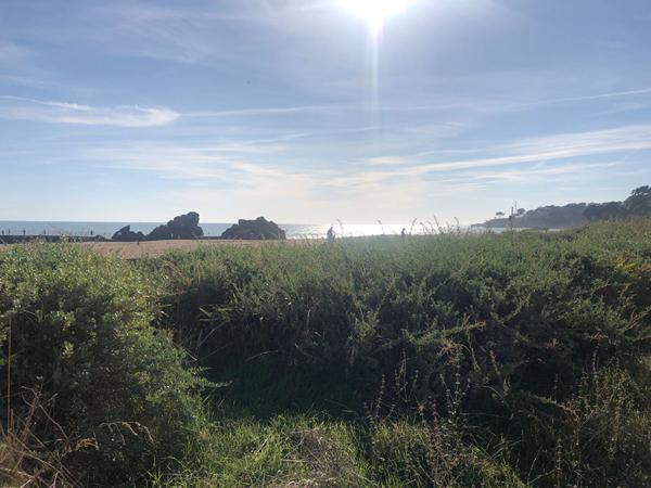 Location appartement Saint Nazaire : 788 € - AJP Immobilier Saint-Marc-sur-Mer