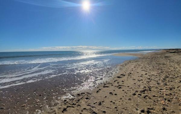Vente Maison à 500 mètres de la plage Portiragnes-plage