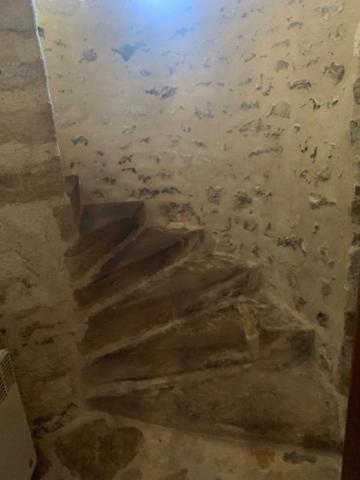 Demeure de prestige Marsais Sainte Radegonde 10 pièce(s) 259 m2