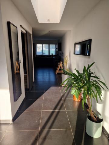 MAISON FLAMANDE SEMI INDIVIDUELLE