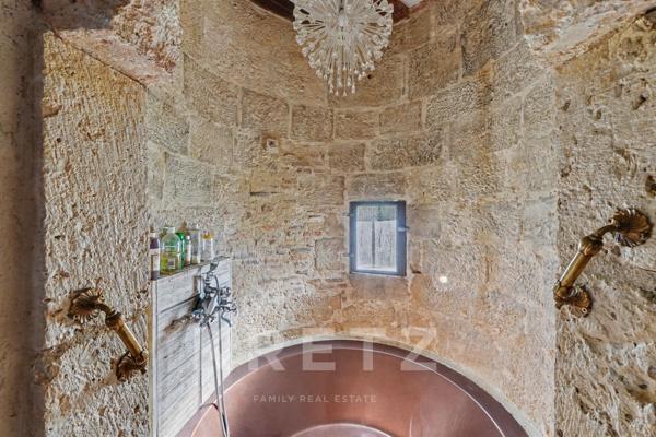 Propriété rare : château XVIIIe, parc de 2 ha et donjon insolite