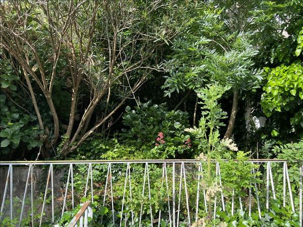 Maison à vendre |  Audierne |  5 pièces | 125 m²