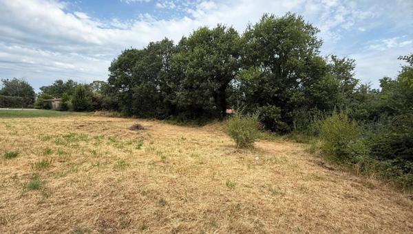 A VENDRE - Sainte Foy de Peyrolieres - Terrain constructible de 1213m² au calme
