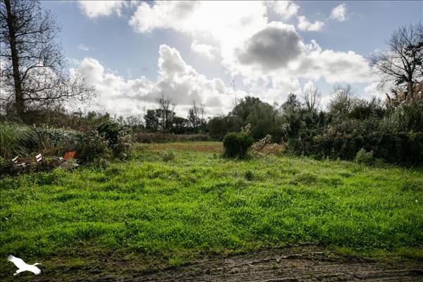 Maison à vendre |  Plouguerneau |  6 pièces | 142 m²