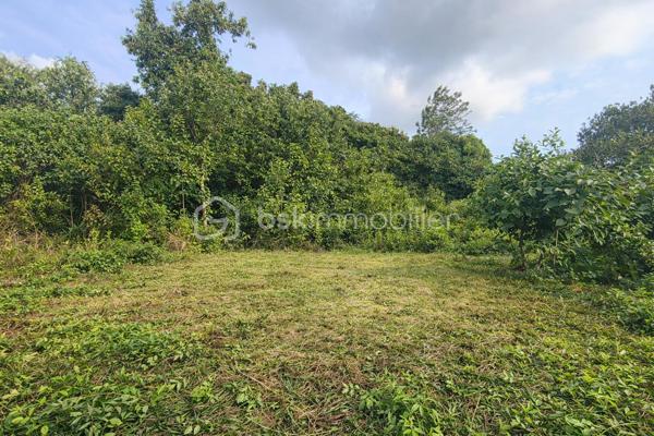 Terrain de 1 070 m²