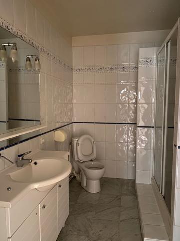 À VENDRE Appartement F5 duplex Provins centre-ville