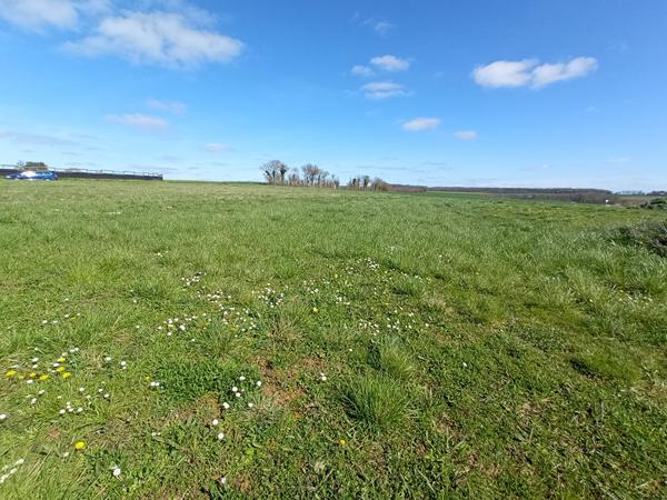 Terrain 770 m2