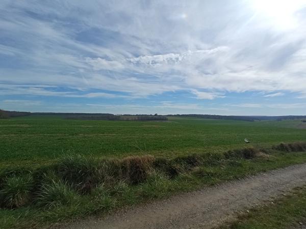 Terrain 770 m2