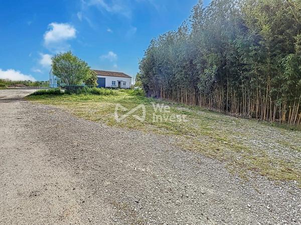 Domaine petite en carmagues