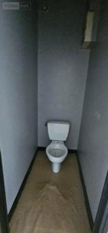 Achat - Immeuble Saint-Dié-des-Vosges 88100 200 m 2 155 m 2
