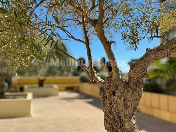 Appartement rénové T3 de 61 m2 avec garage