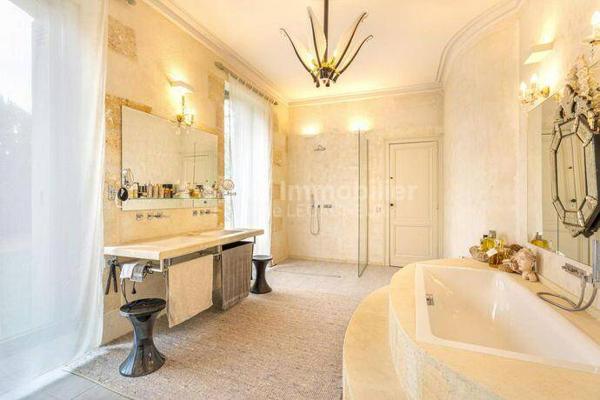 BORDEAUX CHATEAU 830M2 PLUS DEPENDANCES