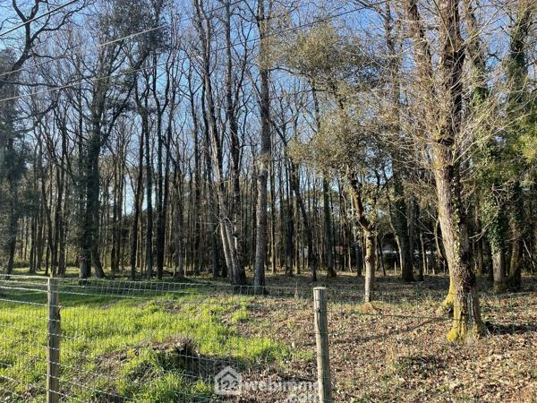 Terrain à bâtir 968 m² à Jard-sur-Mer 85520