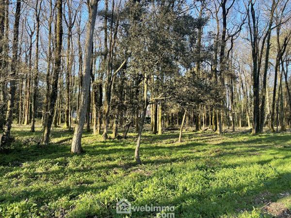 Terrain à bâtir 968 m² à Jard-sur-Mer 85520