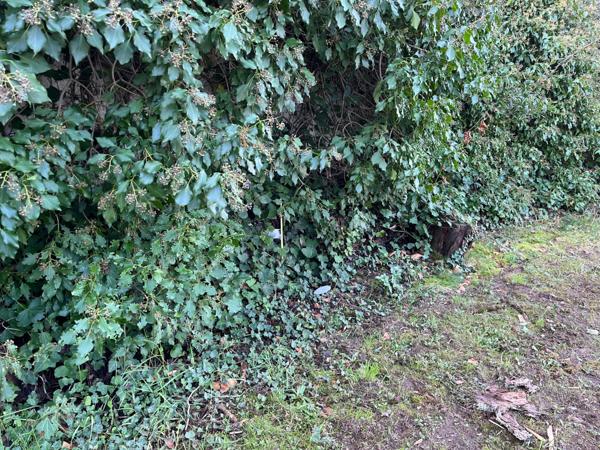 Terrain 822 m² quartier Condat Libourne