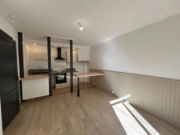 Location appartement T2 rénové avec cour et cellier quartier Iéna proche centre-ville Carcassonne