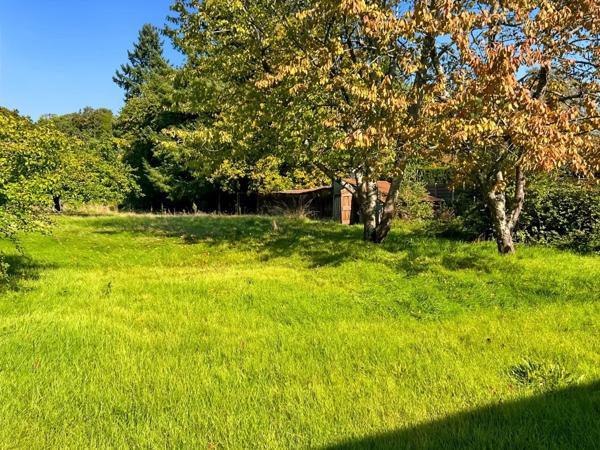 Vente Terrain 3264 m2 à Bourron-Marlotte