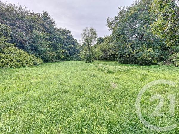 terrain à vendre  900 m2 PLOUGASTEL DAOULAS - 29