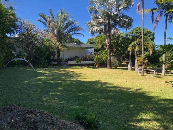 Achat - Maison Saint-Pierre 97250 6 pièces 184 m 2 1542 m 2