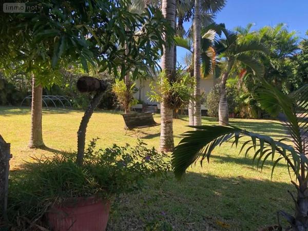 Achat - Maison Saint-Pierre 97250 6 pièces 184 m 2 1542 m 2