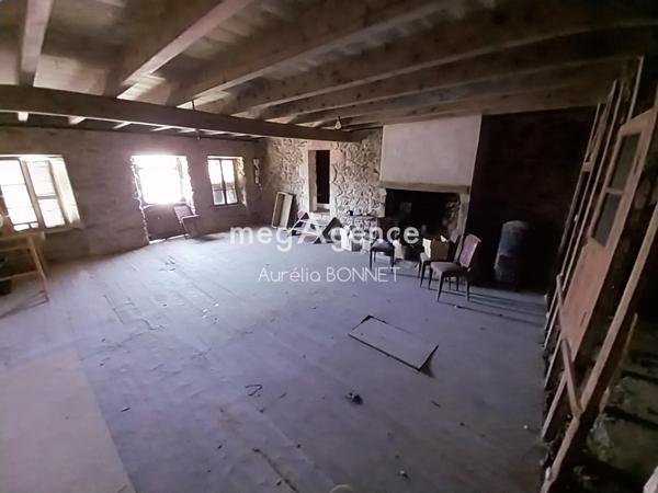 Maison à SAINT-JEAN-SAINT-GERVAIS, 63570 - 10 pièces 349m²