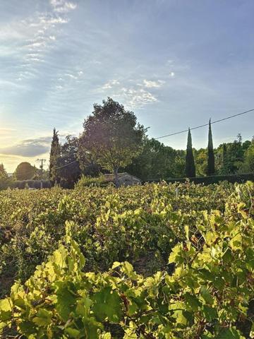 Terrain Viticole à Cotignac - 7040 m² en AOP