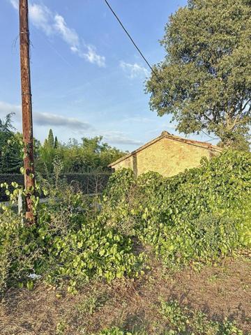 Terrain Viticole à Cotignac - 7040 m² en AOP