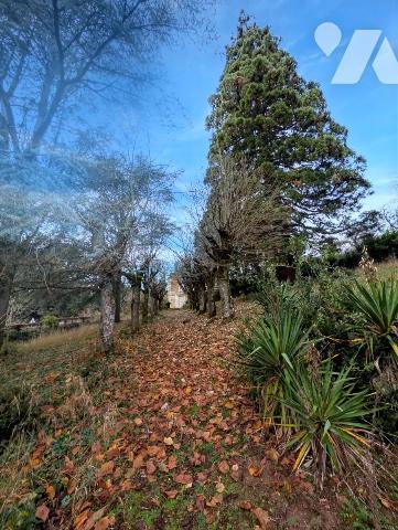 Maison de Maître à rénover d'env. 300m² - Terrain clos de 9538m² 