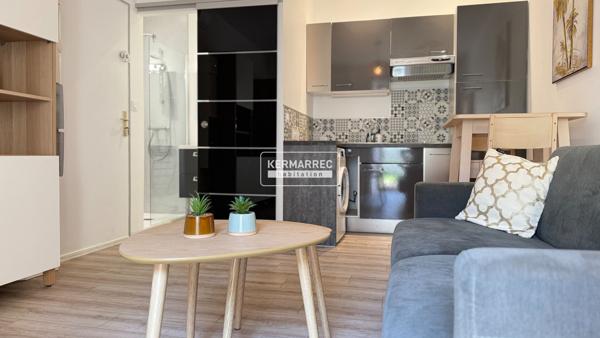 Appartement 1 pièce – 19 m² environ à Nantes (ref : 1794B)