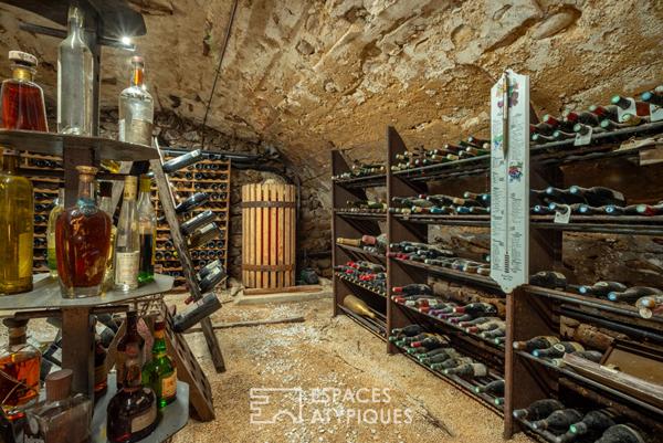Ancienne ferme en pierre rénovée, piscine, vergers, vue panoramique