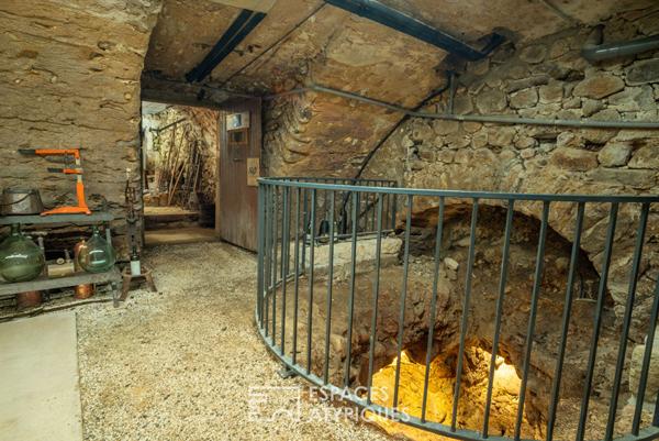 Ancienne ferme en pierre rénovée, piscine, vergers, vue panoramique