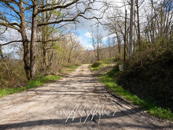 Propriété de caractère en pierre - Domaine avec gîte, terres, forêt et vue panoramique - Proche Limoux