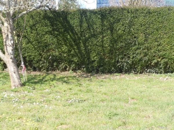 Terrain à Batir à vendre à Merdrignac dans les Côtes-d'Armor (22230), ref : 121/972