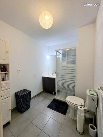 Appartement Blagnac 2 pièce(s) 44 m2
