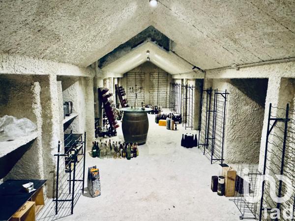 Maison à vendre 7 pièces 304 m² Mailly-Champagne