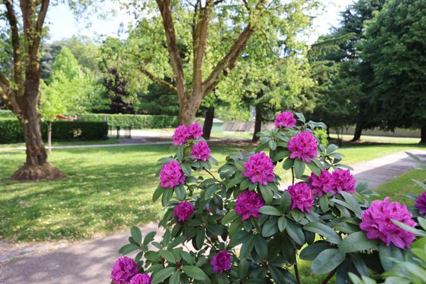 résidence Sécurisée, beau 4 pièces vue sur verdure
