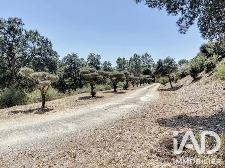 Maison (prestige) à vendre 8 pièces 215 m² Pierrefeu-du-Var