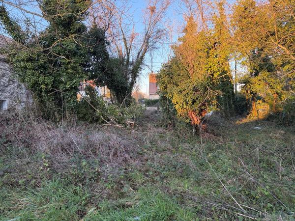 TERRAIN CONSTRUCTIBLE et BOIS TAILLIS