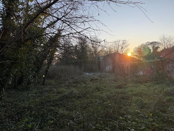 TERRAIN CONSTRUCTIBLE et BOIS TAILLIS