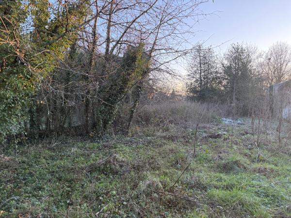 TERRAIN CONSTRUCTIBLE et BOIS TAILLIS