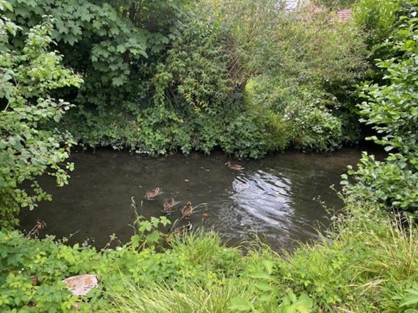 Maison à vendre 7 pièces OUGES (21)