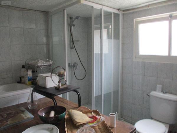 Maison individuelle à vendre à Chabris dans l'Indre (36210), ref : 18