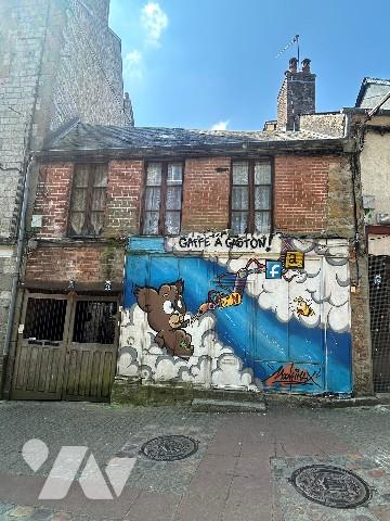 Maison de charme au cœur du centre historique de Domfront