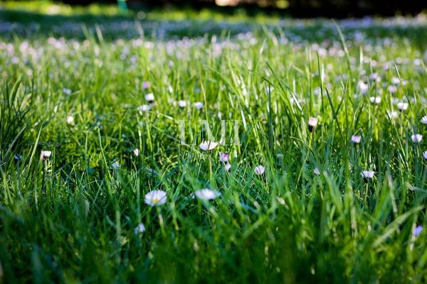 Terrain de 662  m² viabilisé proche Plouay